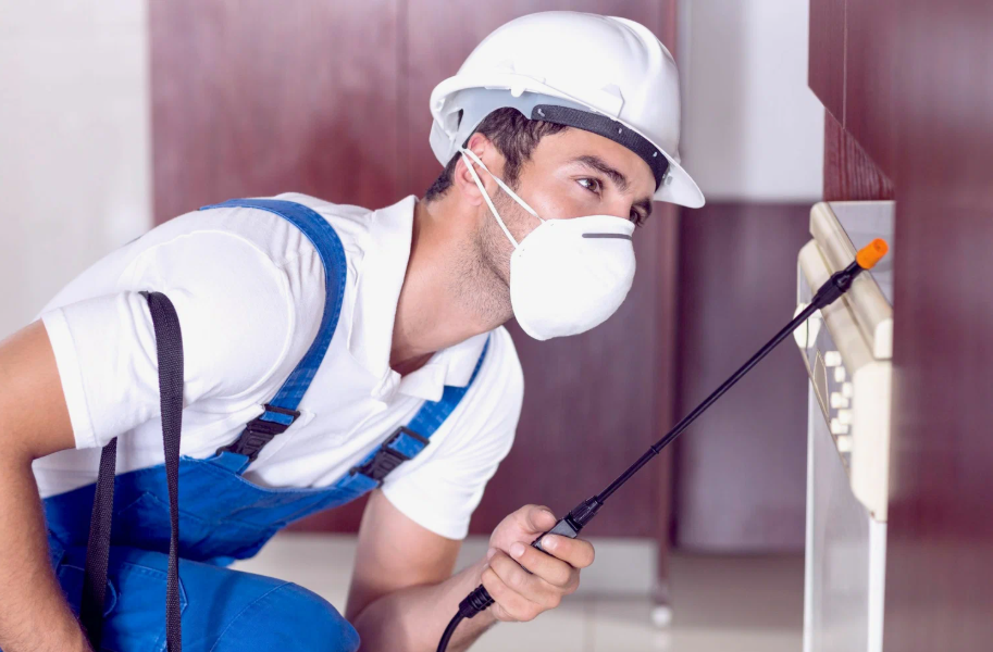 Lakeland local pest services